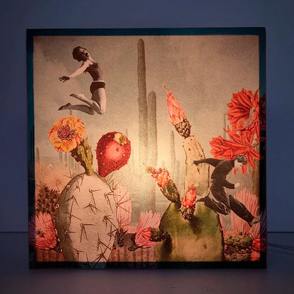 Caja de luz - "Saltadores de cactus" de El Lucernario