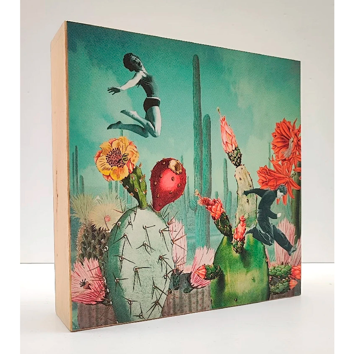 Caja de luz - "Saltadores de cactus" de El Lucernario