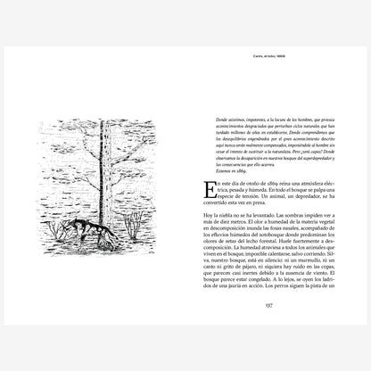 Libro - "Ser un roble, La fascinante historia bajo la corteza de Quercus" de Laurent Tillon