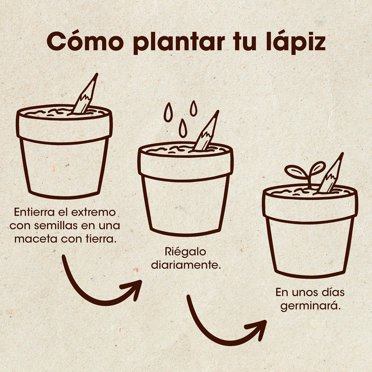 Set de 5 lápices plantables ✏️🌱