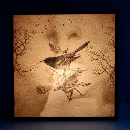 Caja de luz - "Silencio, naturaleza. Dual" de El Lucernario