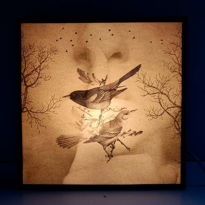 Caja de luz - "Silencio, naturaleza. Dual" de El Lucernario