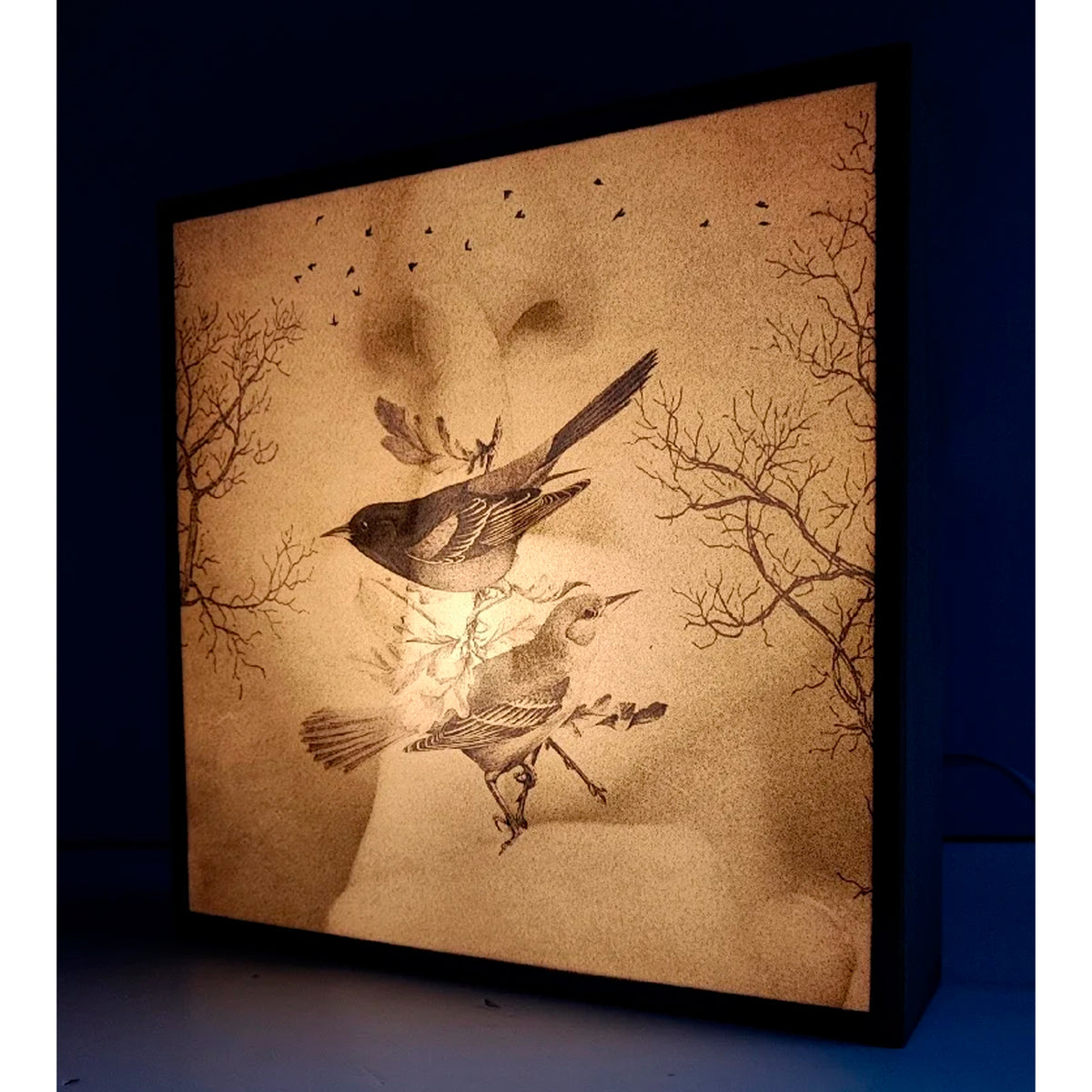 Caja de luz - "Silencio, naturaleza. Dual" de El Lucernario
