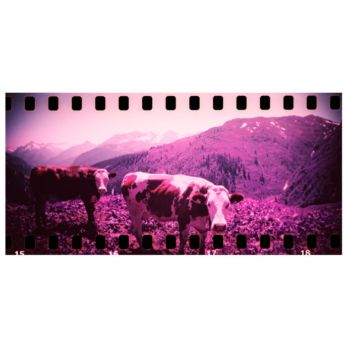 Cámara - Sprocket Rocket Black