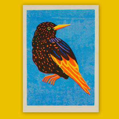 Print de Naomi Wilkinson A5 - "Starling" 🐦