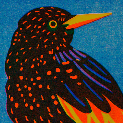 Print de Naomi Wilkinson A5 - "Starling" 🐦