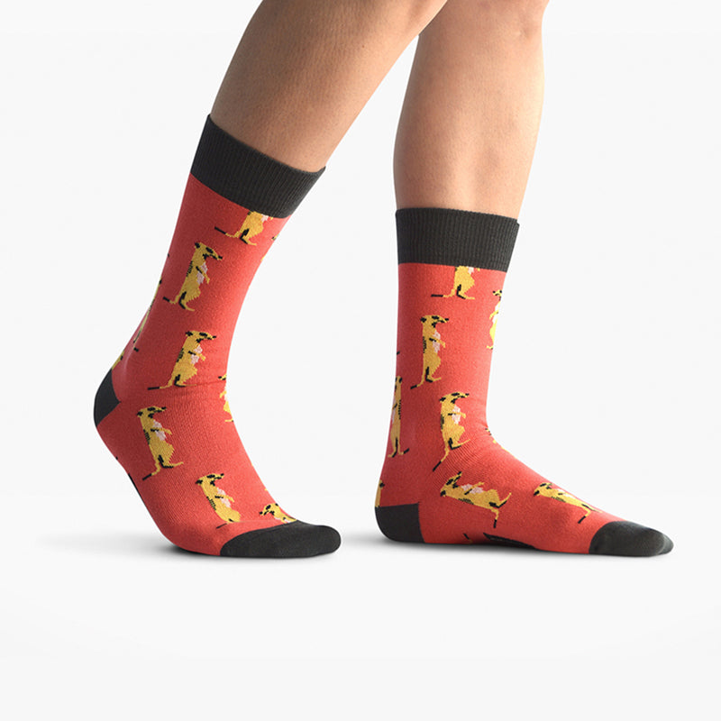 Calcetines - Suricato Coral