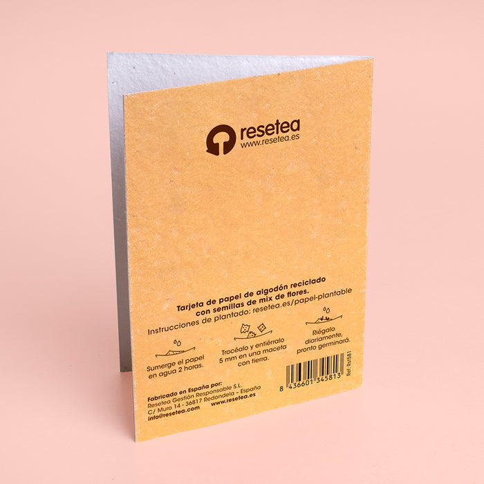 Postal plantable - "Feliz Navidad y Próspero Año Nuevo" 🎄