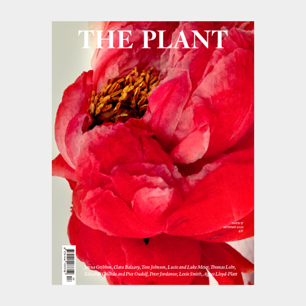 Revista - The Plant #17