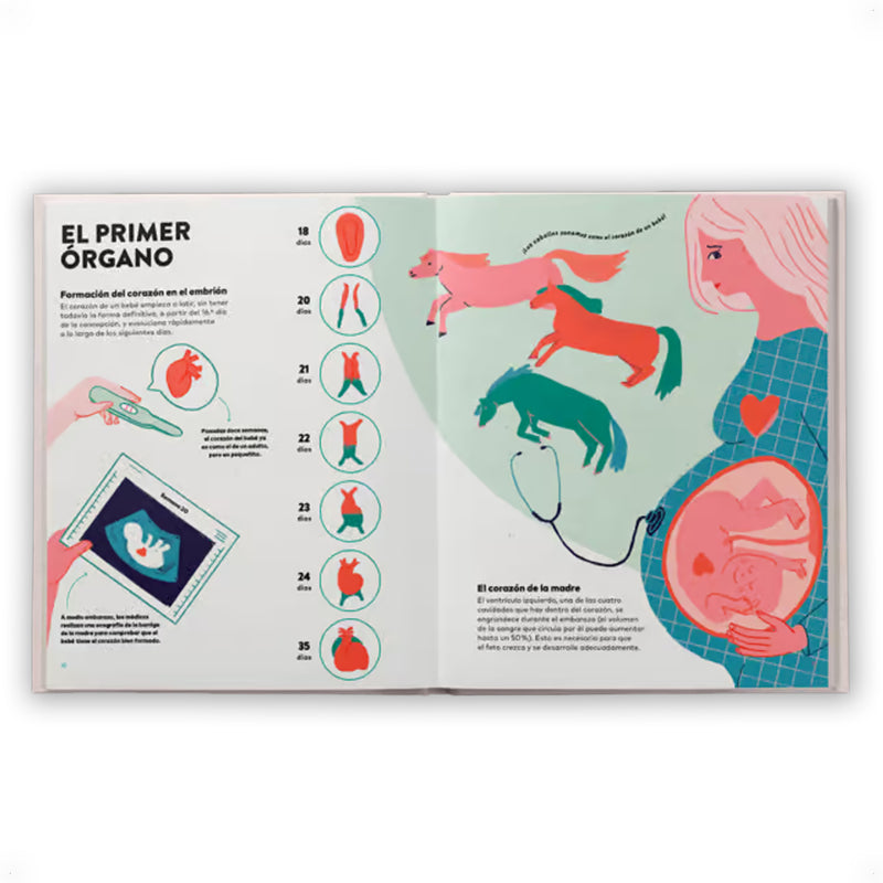 Libro - "Un Corazón" de Noemí Fabra
