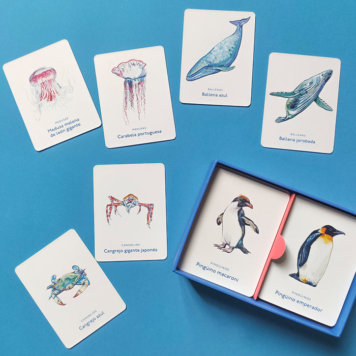 Juego de memoria - "Un mar de animales" 🐡🐙