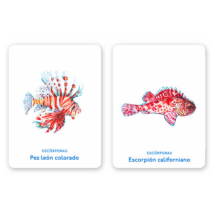 Juego de memoria - "Un mar de animales" 🐡🐙