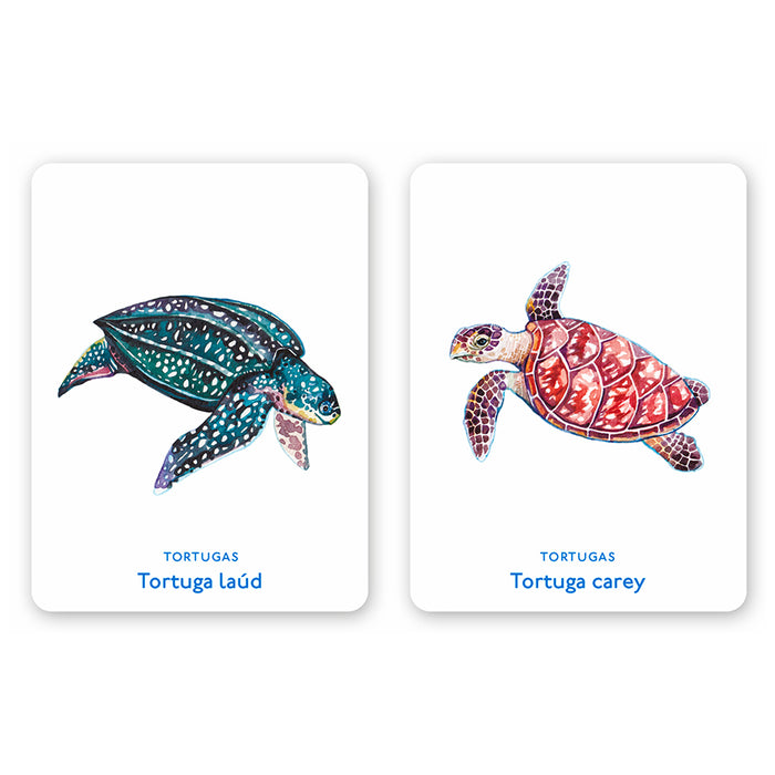 Juego de memoria - "Un mar de animales" 🐡🐙