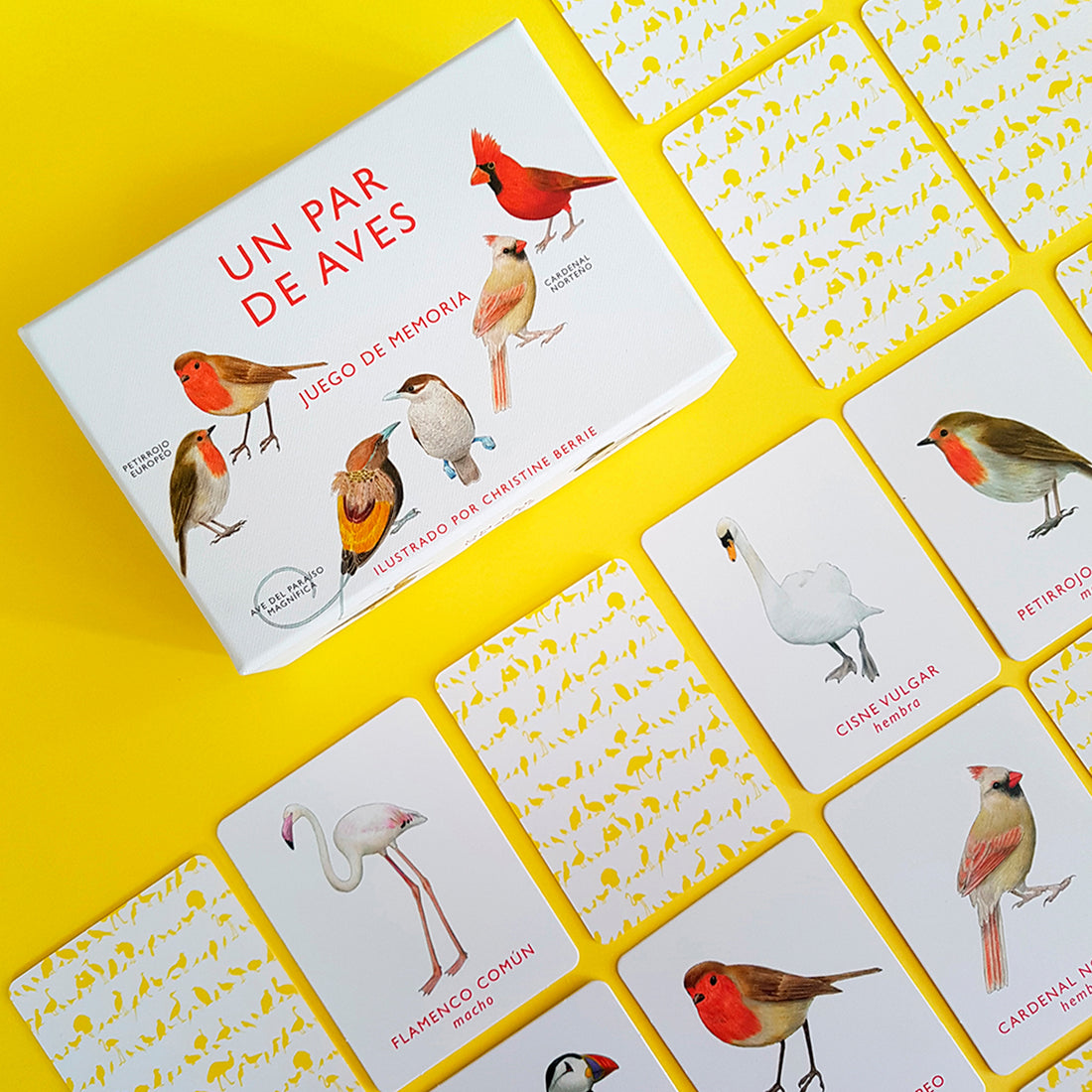 Juego de memoria - "Un par de Aves" 🐦