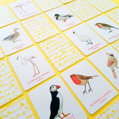 Juego de memoria - "Un par de Aves" 🐦