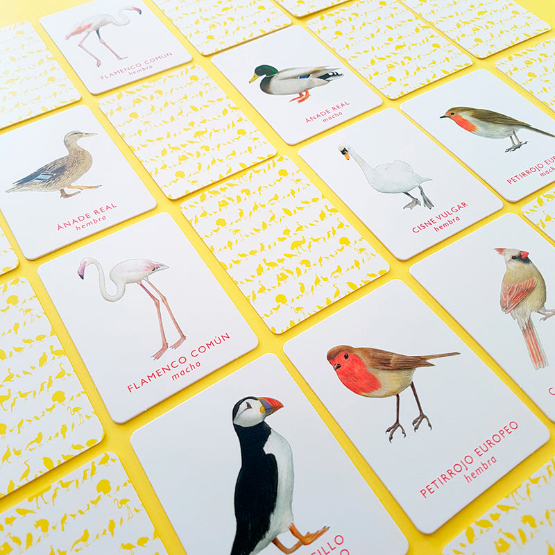 Juego de memoria - "Un par de Aves" 🐦