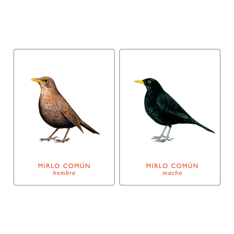 Juego de memoria - "Un par de Aves" 🐦