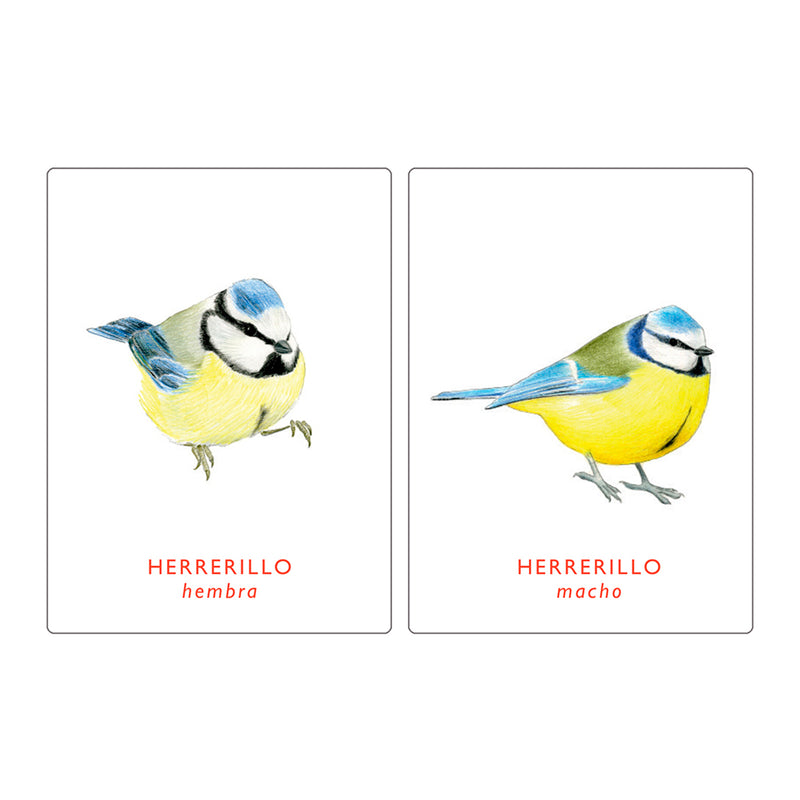 Juego de memoria - "Un par de Aves" 🐦