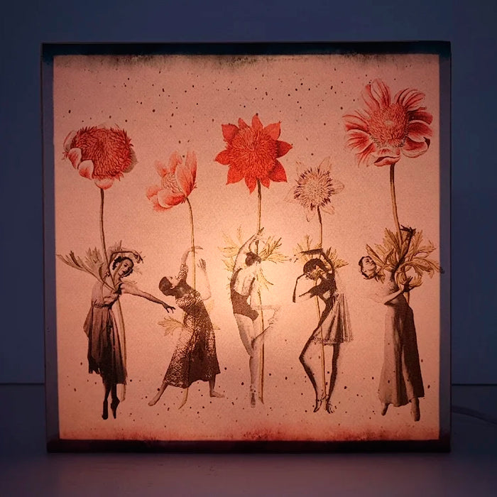 Caja de luz - "Vals de las flores" de El Lucernario