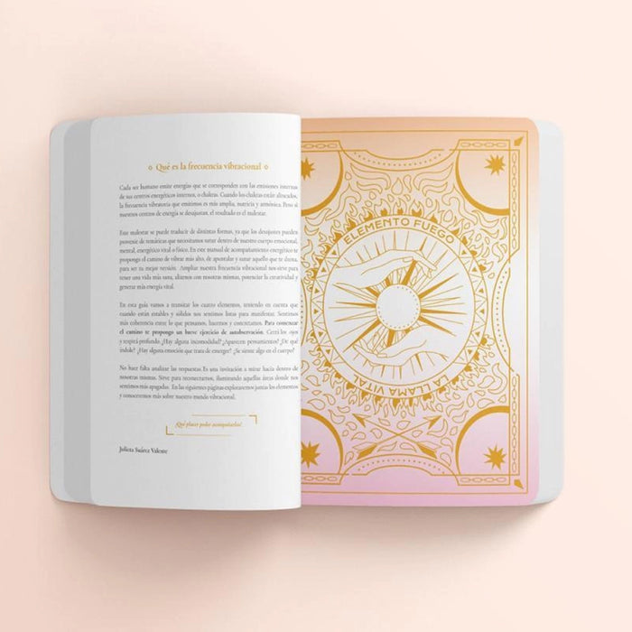 Libro - "Vibrar Alto" de Julieta Suárez Valente y Belén Rigou