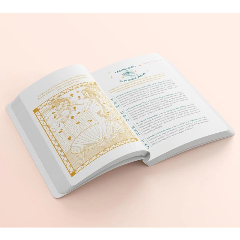 Libro - "Vibrar Alto" de Julieta Suárez Valente y Belén Rigou