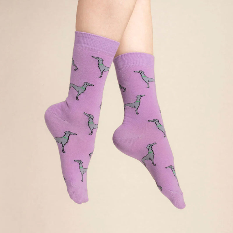 Calcetines - Galgo