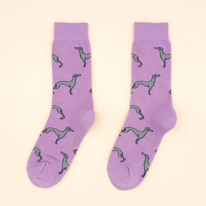 Calcetines - Galgo