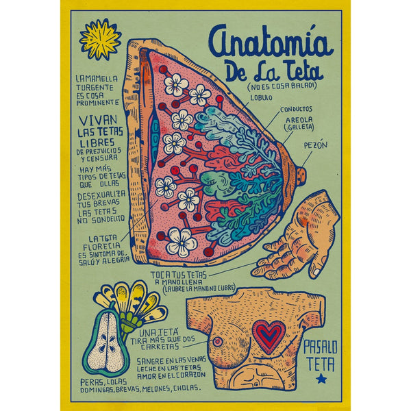 Print de Asís Percales A4- "Anatomía teta"