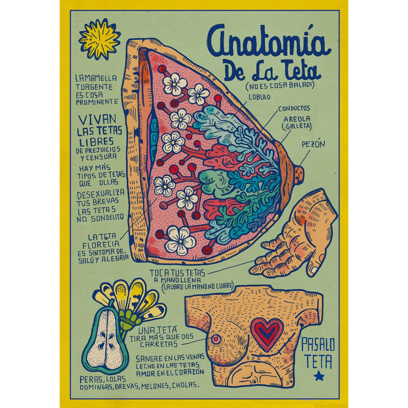 Print de Asís Percales A3- "Anatomía teta"