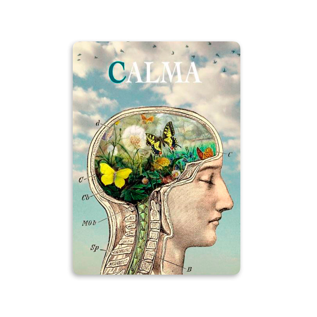 Postal - Calma