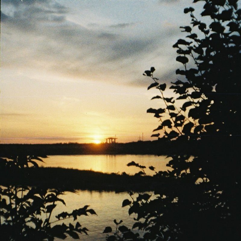 Cámara Lomography - Diana baby 110 con objetivo 12mm