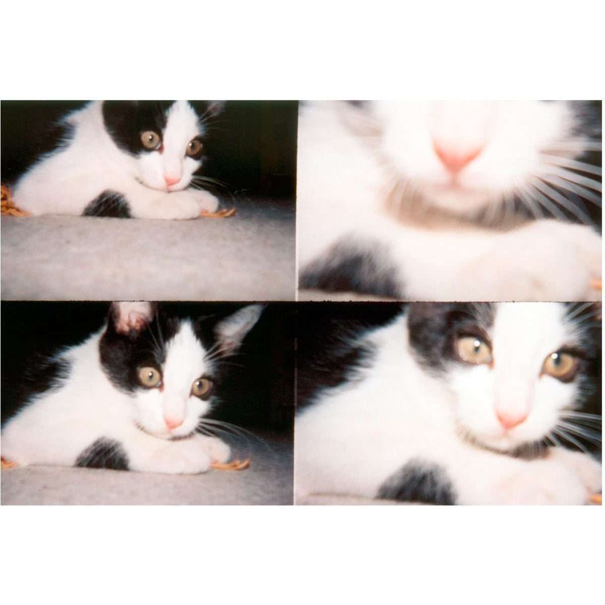 Cámara Lomography - ActionSampler Clear