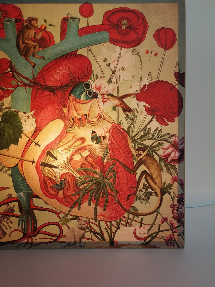 Caja de luz - "Corazón Frida Kahlo" de El Lucernario