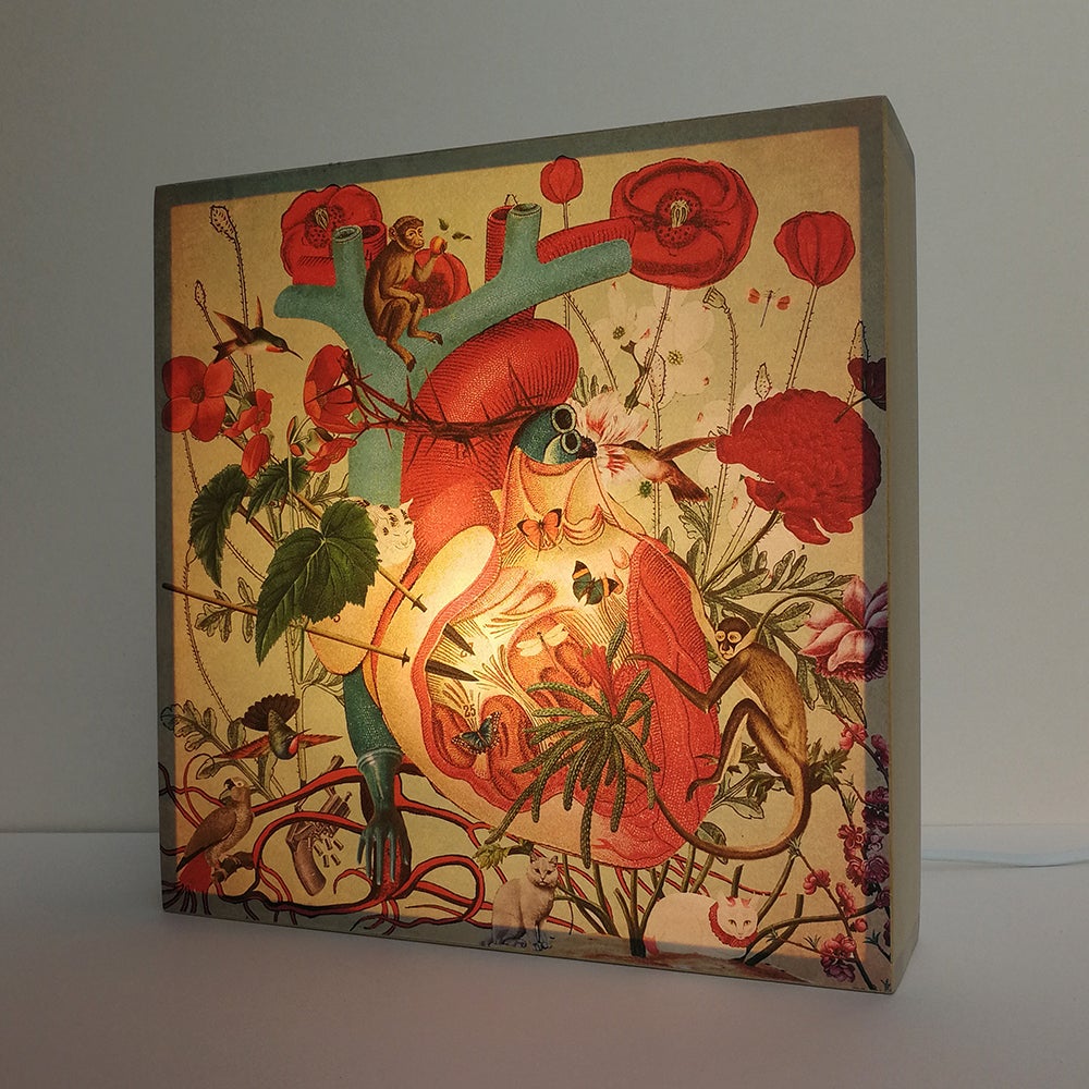 Caja de luz - "Corazón Frida Kahlo" de El Lucernario