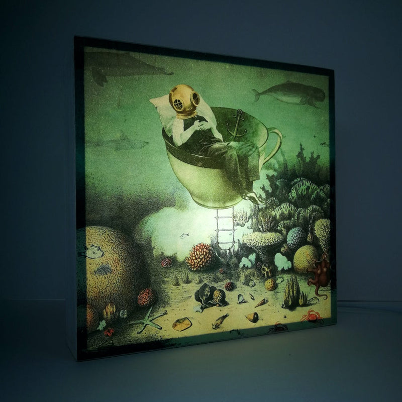 Caja de luz - "Gran Barrera de Coral" de El Lucernario