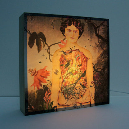 Caja de luz - "Eva" de El Lucernario