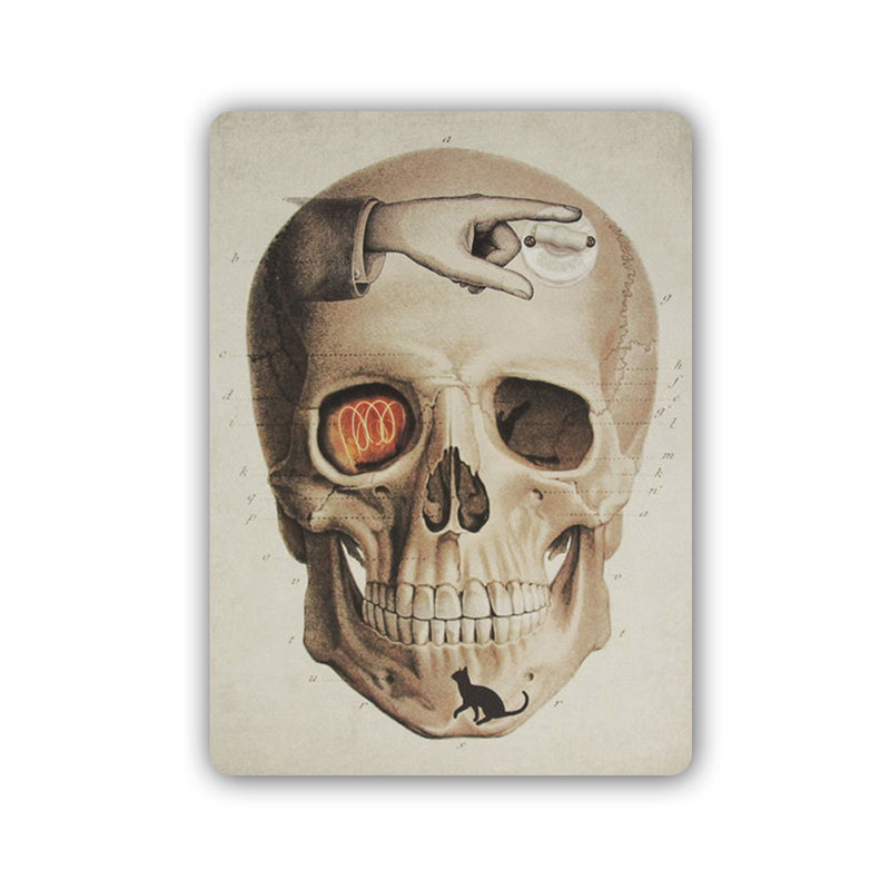 Postal - Calavera y mano