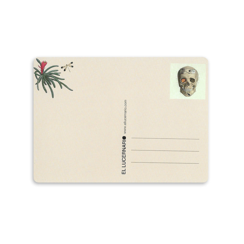 Postal - Calavera y mano
