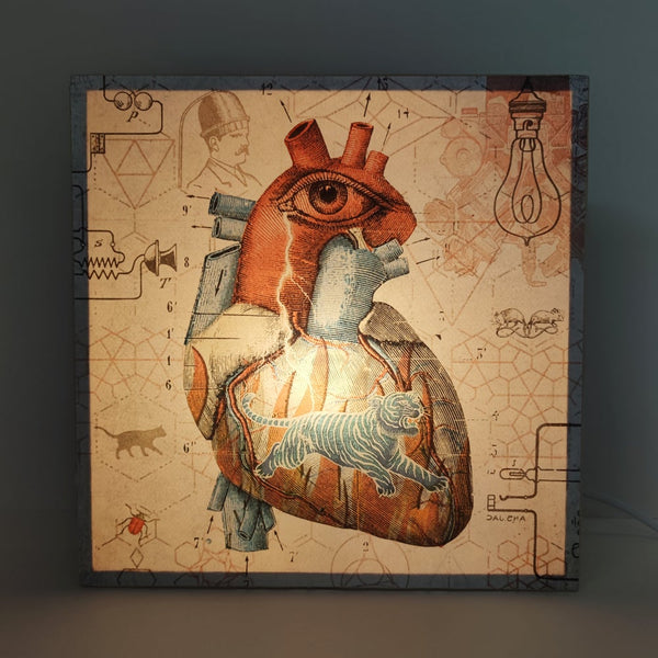 Caja de luz - "Corazón salvaje" de El Lucernario