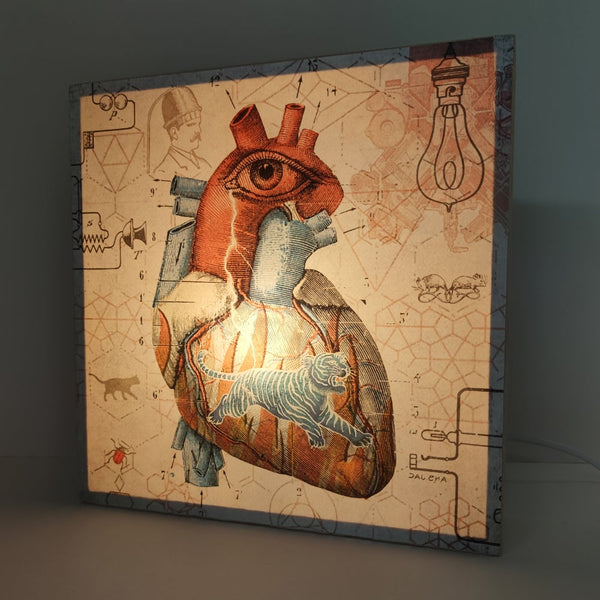 Caja de luz - "Corazón salvaje" de El Lucernario