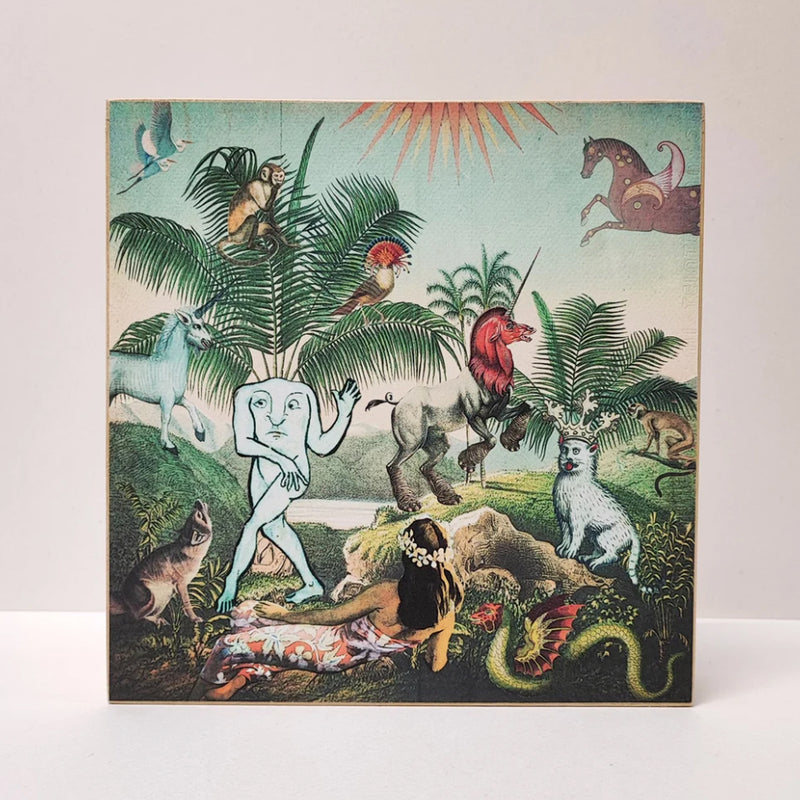 Caja de luz - "El jardín del Edén" de El Lucernario