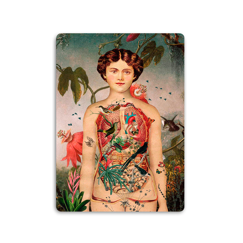 Postal - "Eva"