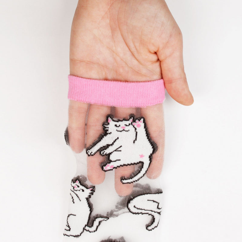 Calcetines transparentes - Gatos blancos 🐈‍⬛