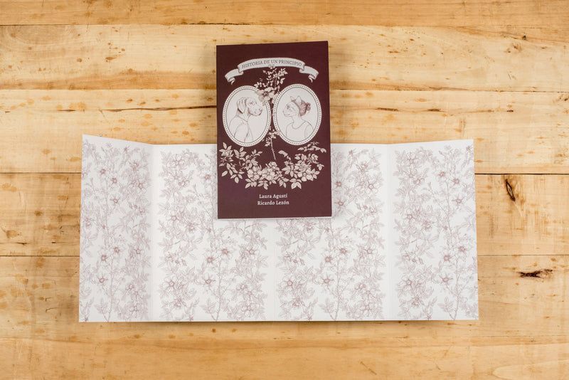 Libro - "Historia de un principio" de Ricardo Lezón y Laura Agustí