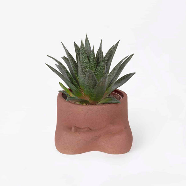 Macetero DOIY - Namaste