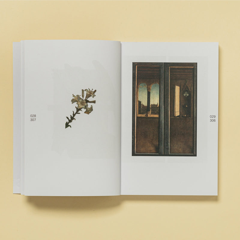 Libro - "LAM" de Carla Cànovas Pugmartí