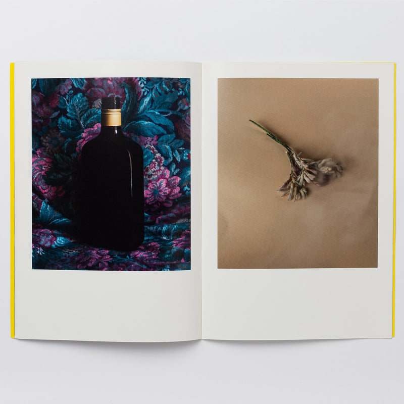 Libro - "On healing faith" de Ana Cuba