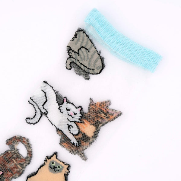 Calcetines transparentes - Meow