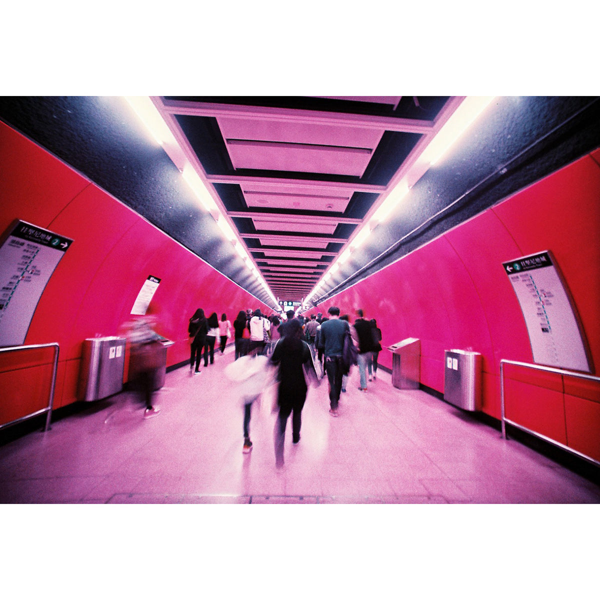 Película Lomography - LomoChrome Purple