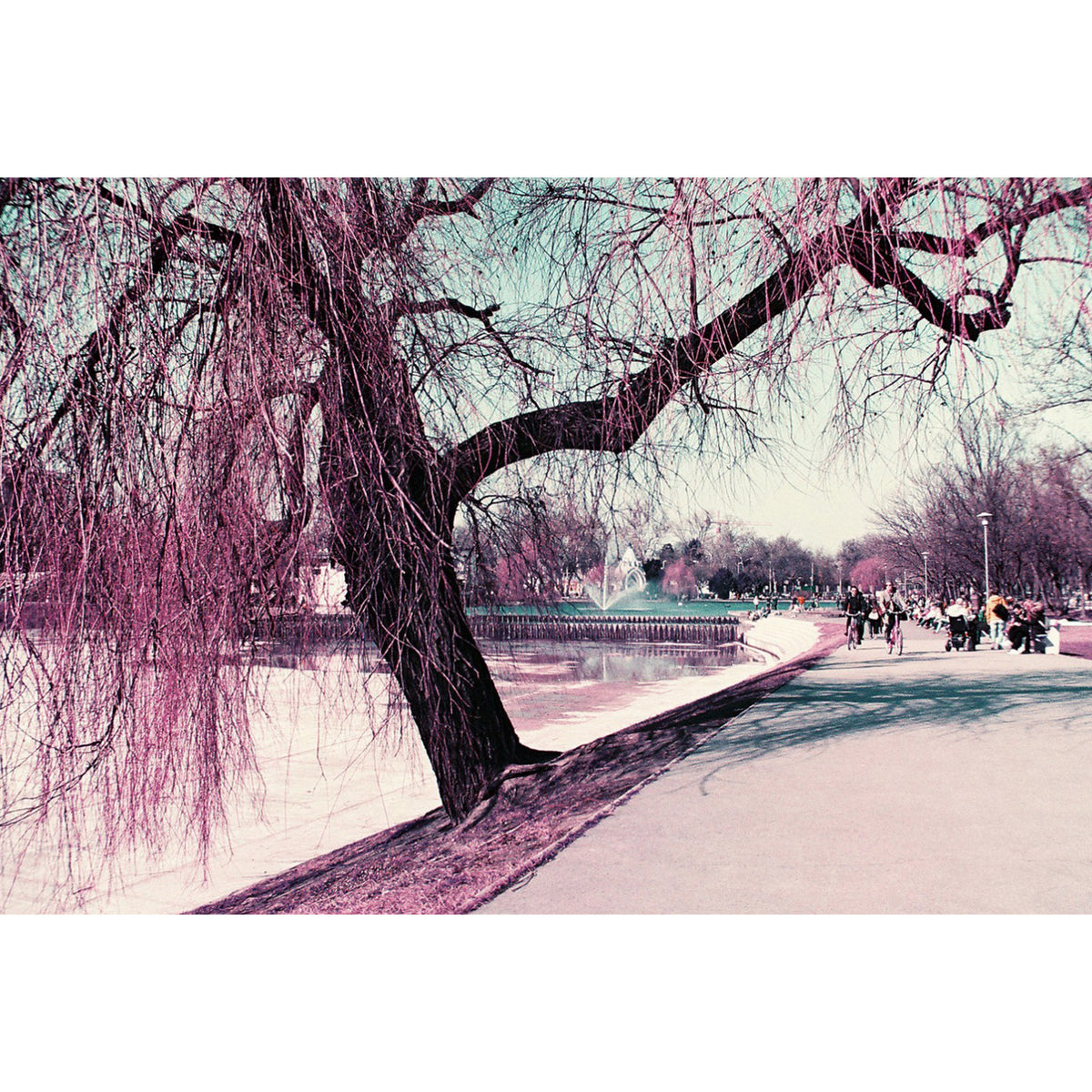 Película Lomography - LomoChrome Purple